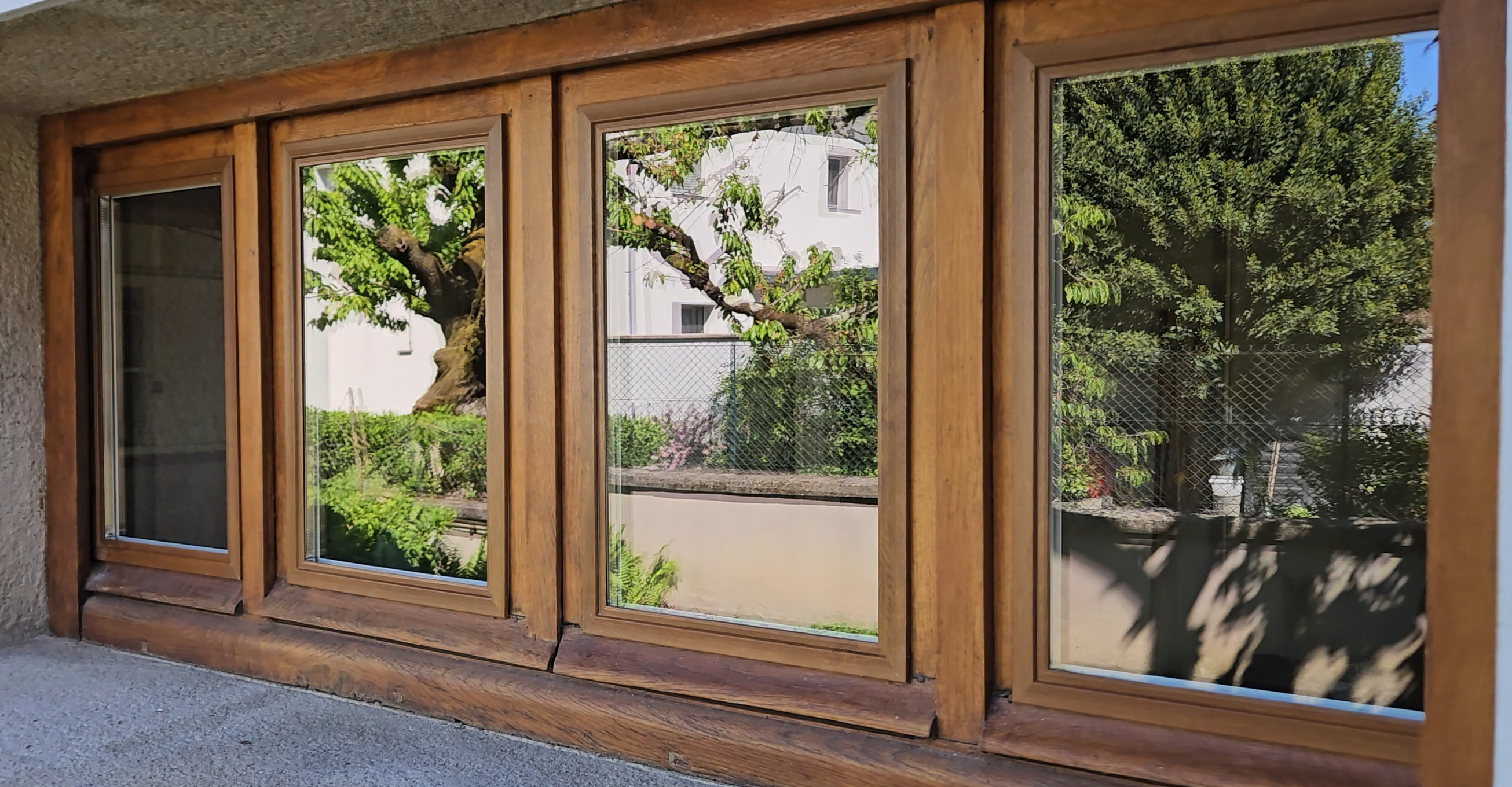 Fenêtres en bois reflétant jardin verdoyant